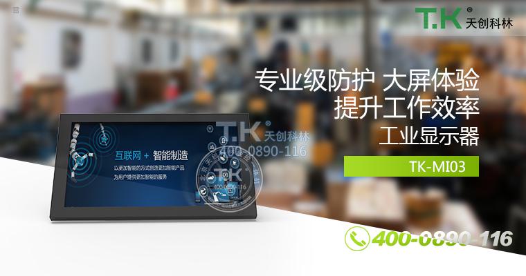 工業監視器 (2)